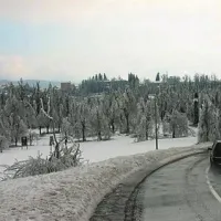 Rdeči alarm  za severozahod Slovenije, v gozdovih naravna katastrofa