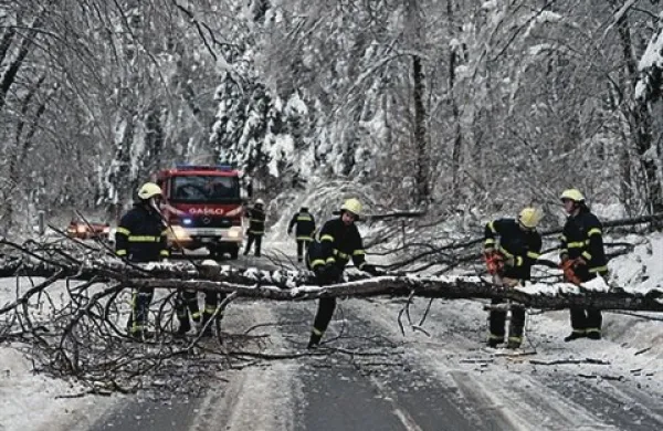 Žled je podrl ogromno  dreves, zaradi česar je veliko cest neprevoznih 