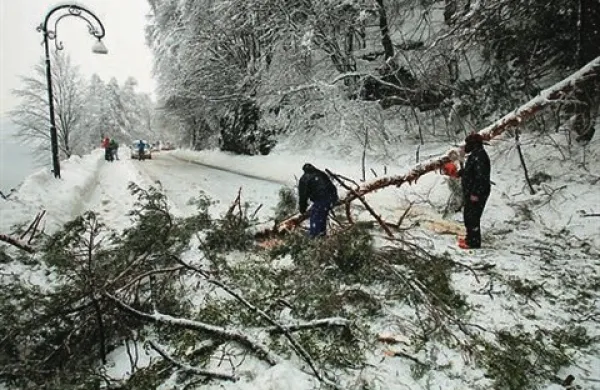 Na Gorenjskem, kjer je ponoči še snežilo, se nadaljuje lomljenje drevja. Še naprej so težave s prevoznostjo cest in izpadi v elektrodistribucijskem omrežju.