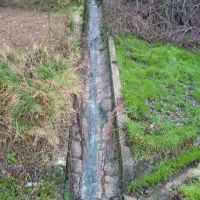Fekalije se med drugim stekajo tudi v kanal ob glavni cesti 