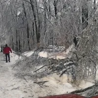 Takšne so bile posledice žleda v Lokovcu.  Po besedah zadolženega za zaščito in reševanje  v novogoriški občinski upravi Bogdana Zorattija so do sinoči segli do 70 odstotkov vseh ljudi na izjemno redko poseljenem  območju. Prebivalcev je  287, nekaj hiš