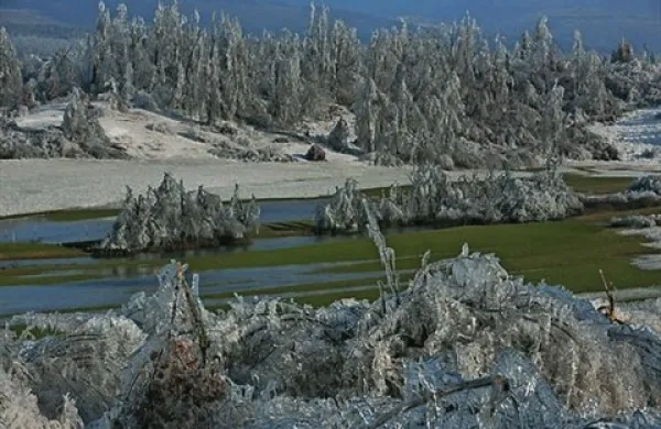 Današnje padavine bodo dodatno obtežile in lomile drevje, prav tako ga bo lomil jugozahodni veter, ki bo začel pihati v sredo