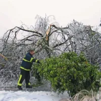Da bodo gozdovi sploh dostopni, bo moral najprej popustiti žled, nato pa bo treba odstraniti podrta in polomljena drevesa z gozdih poti