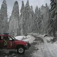 Hrušica