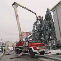 Drevesa, ki najbolj ogrožajo življenja in infrastrukturo žagajo od vrha proti tlom. “Bilo nas je grozno strah. Pokalo je in na tla so leteli veliki kosi ledu. Zato smo poklicali civilno zaščito, da jih požaga. Smrek je sicer škoda, a najprej je treba