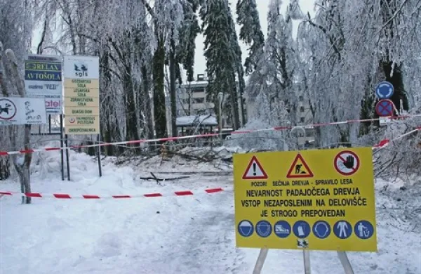 Zaprta bo tudi Srednja gozdarska in lesarska šola Postojna