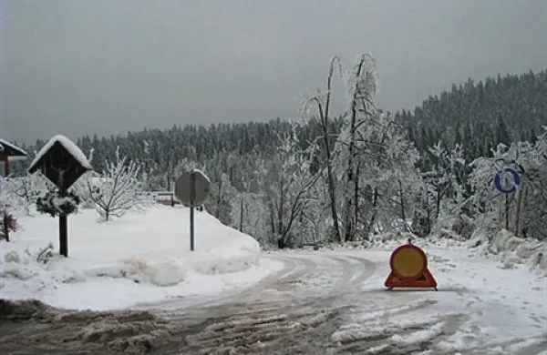 Vremenoslovci opozarjajo, da bosta danes ob krajevnih padavinah še nastajala žled in poledica. Veter bo povzročal dodatna lomljenja dreves. 