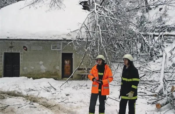 Na Šentviški  planoti je brez elektrike najmanj 500 ljudi, agregati prihajajo. Drevje ni poškodovalo naseljenih hiš.