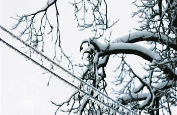 Na območju Elektra Ljubljana je brez elektrike 30.000 odjemalcev