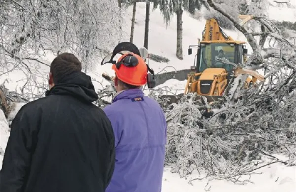  Včeraj so si končno  oddahnili domačini na območju Srednjega na Kanalskem, kjer je žled  lomil drevesa, telefonske in električne drogove in zaprl cesto