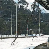 Z vlakom v Ljubljano &scaron;ele maja