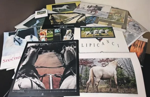 V soboto in nedeljo bodo v Lipici prvič na ogled koledarji na temo lipicancev