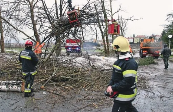Tako so danes čistili veje na Postojnskem