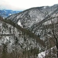 Poškodovani gozd na Idrijskem