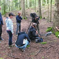 Film Na koncu ceste bodo drevi predvajali na prvem programu Televizije Slovenija