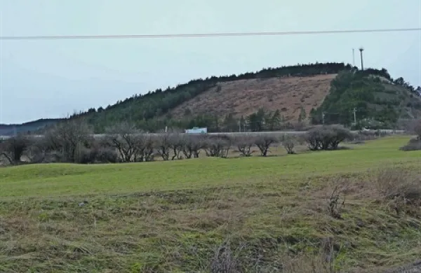 Pobočje na Zajčici (pod Vremščico), na katerem na pobudo Agrarne skupnosti Gabrče utegnejo zrasti vetrne elektrarne