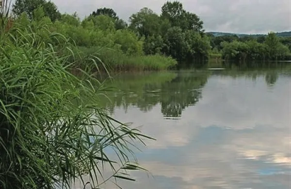 Poplavna ogroženost po državi je povečana