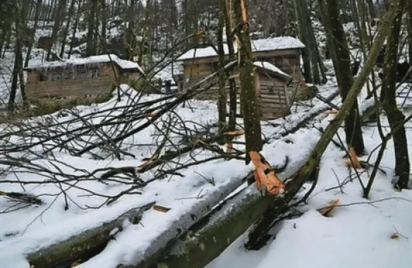 Žled ni prizanesel niti Partizanski tiskarni Slovenija