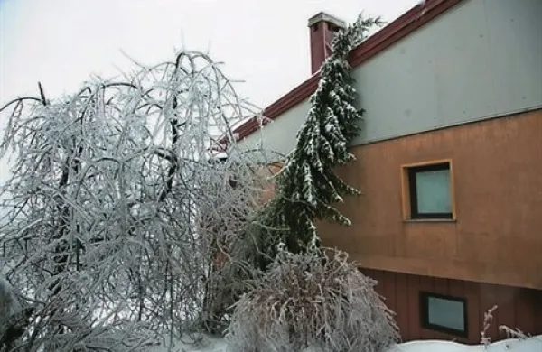 Ocenjevanje škode na stavbah oziroma  infrastrukturi  zaradi posledic poplav, visokega snega in žleda med 30. januarjem in 10. februarjem letos  se začne jutri z  zbiranjem  vlog  oškodovancev