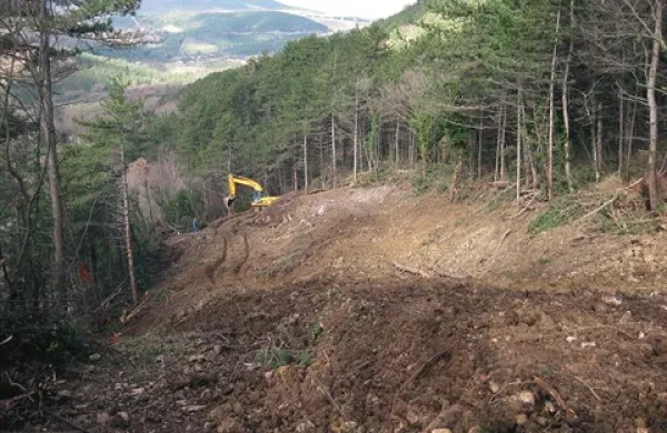 Dokler ne zgradijo nasipa, je 15-metrska poseka odprt prehod za morebitne padajoče skale