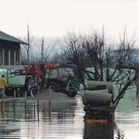 Kmetje so pred vodo reševali bale sena