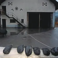 V tem hlevu je bilo do začetka tedna 30 glav živine. Zaradi vode so jih morali premestiti.