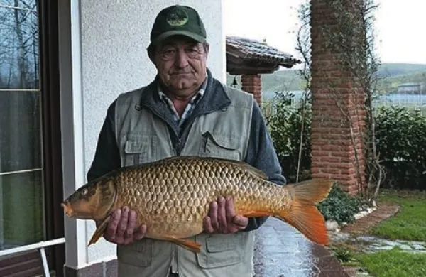 Preobilica vode je vsaj za nekaj dobra, je ulov krapa komentiral  bralec, ki nam je poslal fotografijo