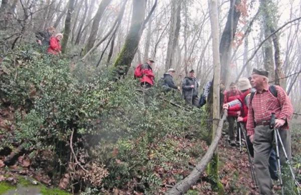 Od Tru&scaron;k do Frenkovega bunkerja in Bor&scaron;ta