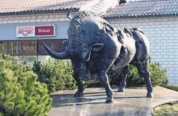 Če prodajo bika, gre kupnina  delavcem