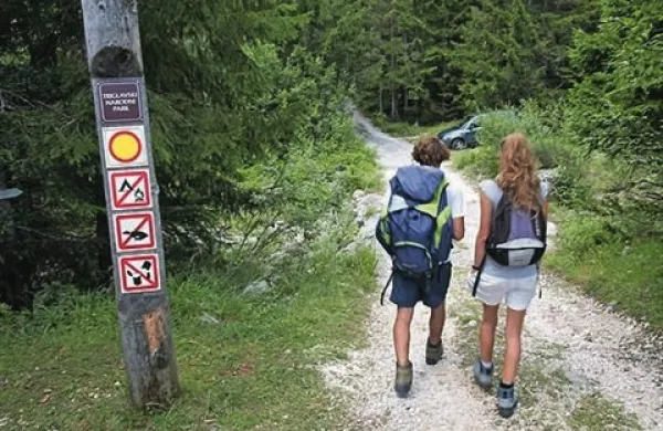  Interaktivni vodniki omogočajo določanje vrst, na primer dreves, grmov in lesnatih vzpenjavk na območju Triglavskega narodnega parka