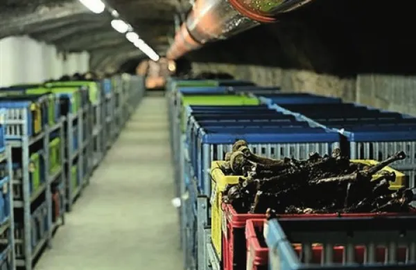 V rovu sv. Barbare v rudniku Huda Jama pri Laškem so doslej izkopali posmrtne ostanke 800 žrtev povojnih pobojev, v rovu pa naj bi jih bilo po ocenah še več kot 2000 
