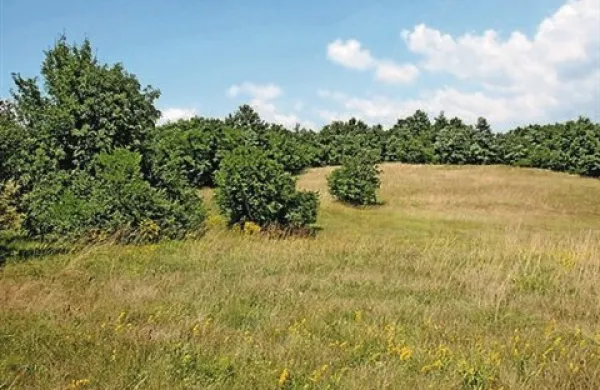 Fotografija je simbolična