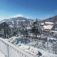 Postojna v ledenem objemu letos šestega februarja