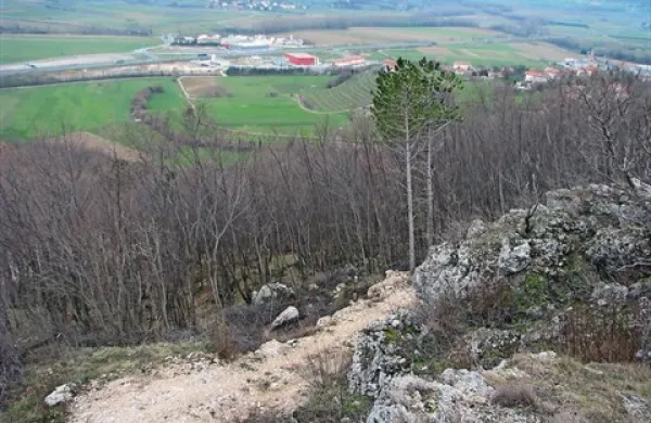  Vipavski župan je prepričan, da cesta čez Brge bo