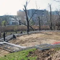 Za sprehode tik ob ribniku