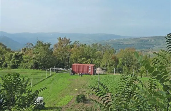 Marsikateri istrski kmet si je na njivo pripeljal kar odslužen ladijski zabojnik. Z jasno postavljenimi pravili se kaj takega ne bi  več dogajalo.