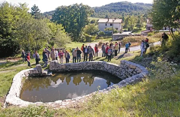 Vaški studenec v Lokvi
