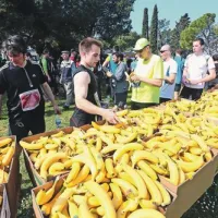  Tekači, ki so pretekli desetkilometrsko progo, so izgubljeno energijo nadoknadili tudi z bananami 