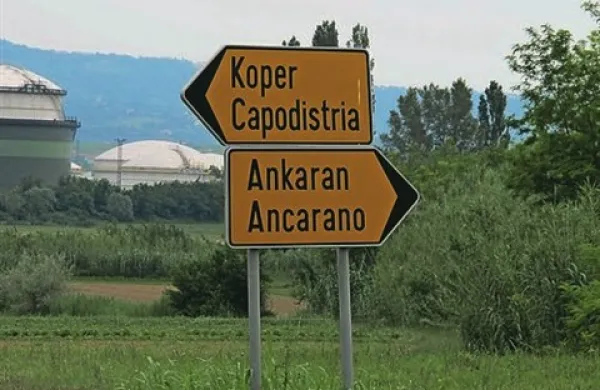 Lokalne volitve bodo zgodaj jeseni v 212 slovenskih občinah, tudi  v mestni občini Koper in v občini Ankaran