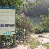 Manjše jezero v Fiesi, ki je v zasebni lasti,  ima povsem zaraščene brežine in dostop do njega ni mogoč 