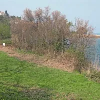 Delavci Okolja so odstranili robidovje in počistili okolico jezera, kanele pa so pustili