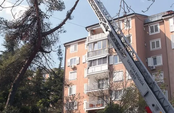 Bloki  ostajajo vse bolj goli
