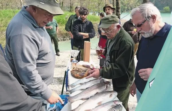 Lucijan Rejec (prvi z leve) ocenjuje najlepše ribe in napoveduje, da bodo z novo ribogojnico ponudili ljudem   avtohtone soške postrvi in  lipane
