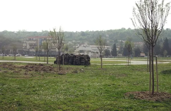 Mlade mandljevce so posadili še preden so odpeljali gume, ki so obdajale stezo za karting. Odpeljali naj bi jih včeraj. 