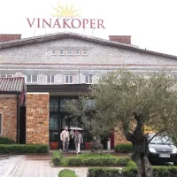Vinakoper si prek Adriafina delita Istrabenz in Luka Koper