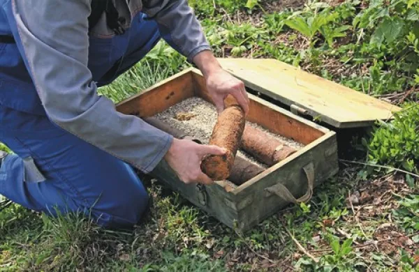 Člani državne enote za varstvo pred neeksplodiranimi ubojnimi sredstvi so samo na območju severne Primorske od leta 2005 v 1680 primerih našli in uničili približno 46 ton neeksplodiranih granat, min, bomb in drugih nevarnih ostankov prve ali druge