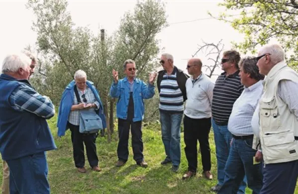  V oljčnik Angela Hlaja (na fotografiji v sredini) nad Lamo zelo pogosto pridejo obiskovalci