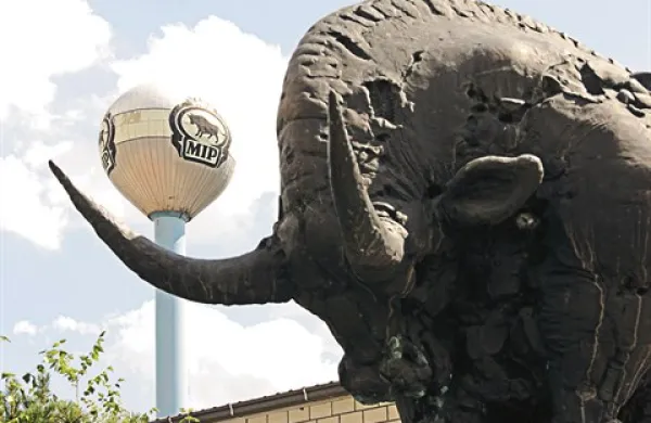 Sodna izvedenka za likovno umetnost je vrednost skulpture ocenila na 200.000 evrov, a ni pričakovati, da bi morebitni ponudniki ponudili toliko  