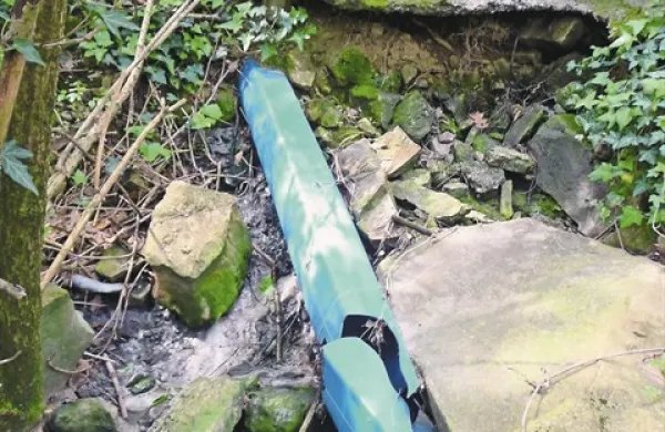 Ne Škofijah je moč najti tudi takšne izpuste na črno, od koder se - po vonju sodeč - fekalije izlivajo v naravno okolje
