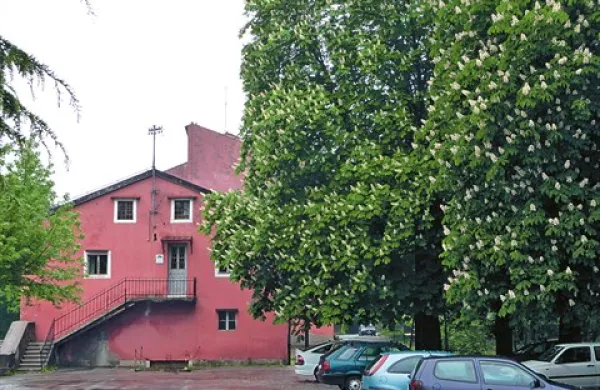 Tako košata so bila drevesa zadnja poletja